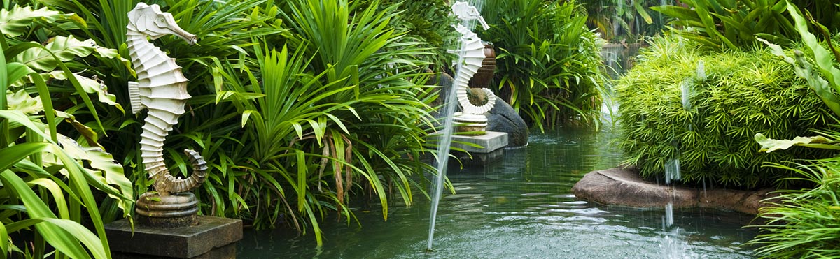 Exotic Landscape And Landscaping Design In Kendall, FL Exotic Landscape Design and Landscaping Design in Coconut Grove, Coral Gables, Cutler Bay, Kendall, Key Biscayne, Miami, Miami Beach, Palmetto Bay, ... - Exotic Landscape And Landscaping Design In Kendall, FL