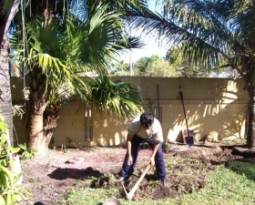 Landscape Design in Coconut Grove