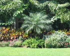 Landscaping Design in Miami