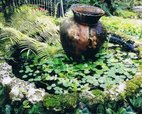 Water Feature Design