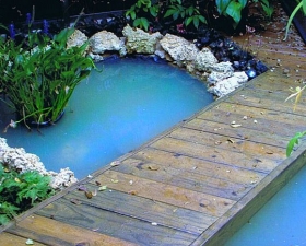 Water Feature Design in Key Biscayne