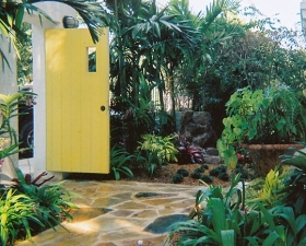Backyard Landscape Design in Coral Gables