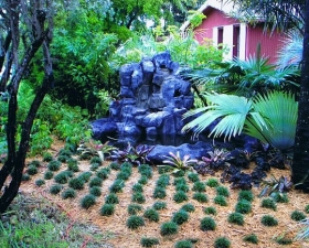 Water Feature Design in Coconut Grove