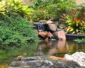 Water Feature Design in Coral Gables