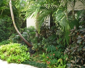 Exotic Landscape Design for Cutler Bay