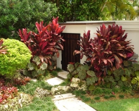 Tropical Landscape Design