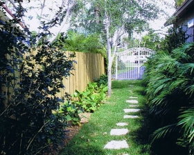 Landscape Installation in Coral Gables Walkway 1