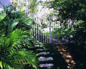 Landscape Installation in Coral Gables Walkway 2