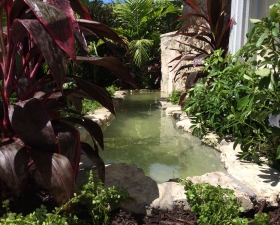 Water Feature Design with Tropical Landscape Design 1