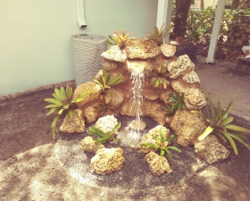 Landscape Design for Coconut Grove Water Feature 2