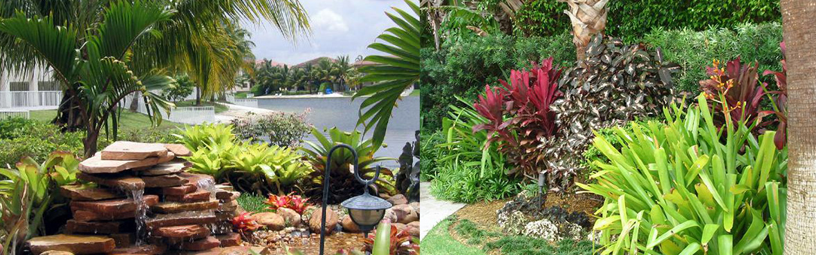 Landscape Design and Landscaping Design in Coral Gables, Miami, Miami Beach