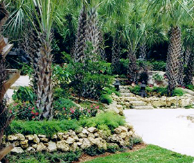 Landscape Installation in Palmetto Bay, Pinecrest, Miami Beach