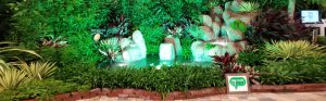 Landscape Lighting in Coral Gables, Kendall, Miami, Palmetto Bay