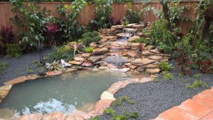 Backyard Landscape Design in Miami