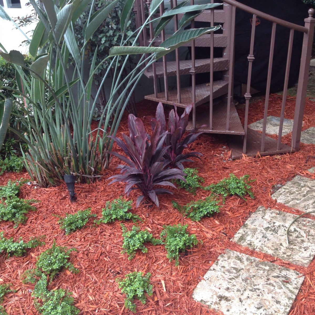 Landscape Installation in Pinecrest, Miami Beach, Palmetto Beach