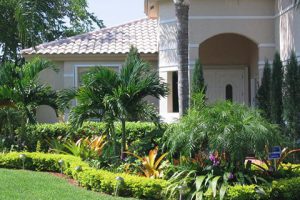 Landscape Design at a new home in Kendall 