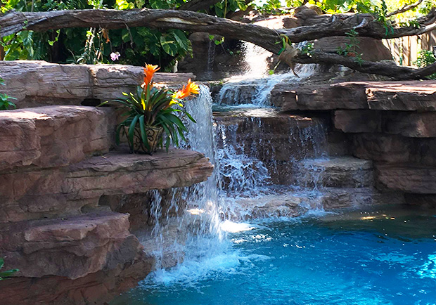 Landscape Installation with a waterfall in Coral Gables 