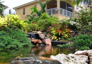 Landscape Design on the outside of a house in Miami