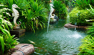 pond installation as part of tropical landscape design in Miami