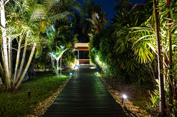 a dark lit Landscape Design in Key Biscayne, Miami Beach, Miami, Pinecrest, Cutler Bay, Coconut Grove